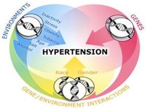 Hypertension Progress for Older Americans Improves But Not So for Younger Americans2