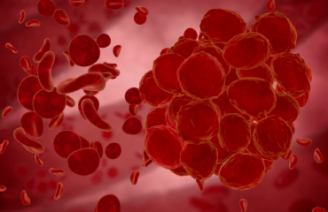 erythrocyte-red-blood-cells